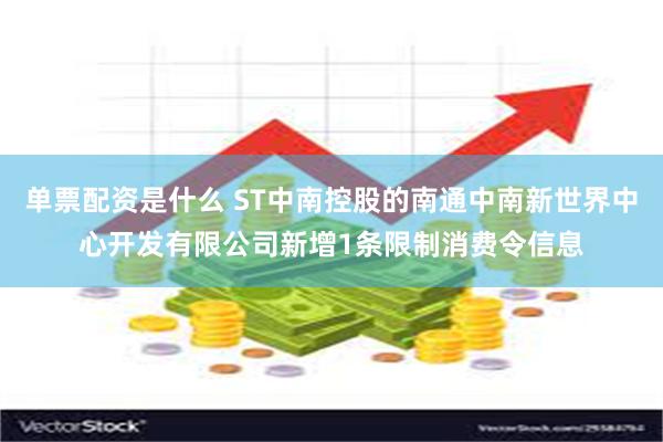 单票配资是什么 ST中南控股的南通中南新世界中心开发有限公司新增1条限制消费令信息