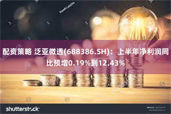 配资策略 泛亚微透(688386.SH)：上半年净利润同比预增0.19%到12.43%