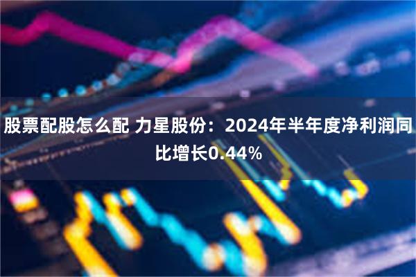 股票配股怎么配 力星股份：2024年半年度净利润同比增长0.44%