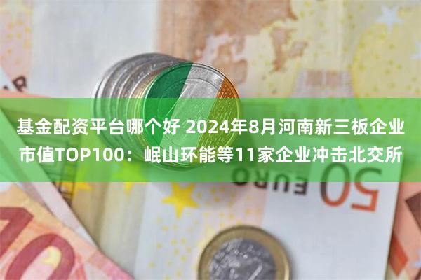 基金配资平台哪个好 2024年8月河南新三板企业市值TOP100：岷山环能等11家企业冲击北交所