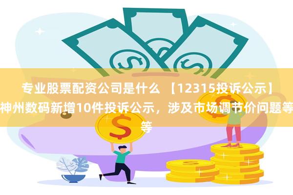 专业股票配资公司是什么 【12315投诉公示】神州数码新增10件投诉公示，涉及市场调节价问题等