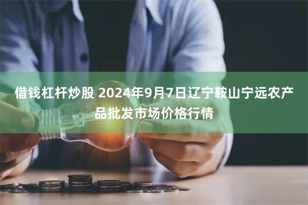 借钱杠杆炒股 2024年9月7日辽宁鞍山宁远农产品批发市场价格行情