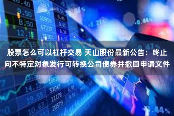 股票怎么可以杠杆交易 天山股份最新公告：终止向不特定对象发行可转换公司债券并撤回申请文件