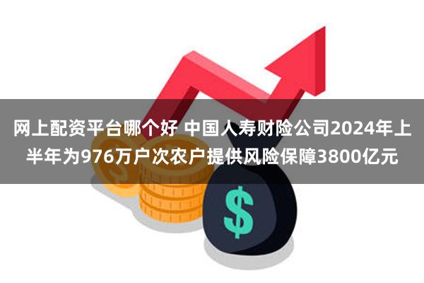 网上配资平台哪个好 中国人寿财险公司2024年上半年为976万户次农户提供风险保障3800亿元