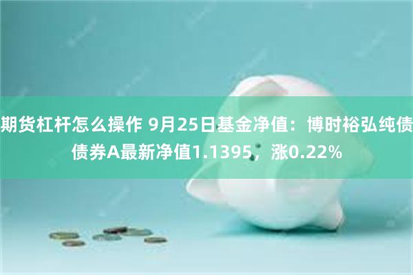 期货杠杆怎么操作 9月25日基金净值：博时裕弘纯债债券A最新净值1.1395，涨0.22%