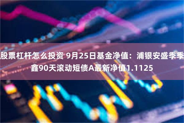 股票杠杆怎么投资 9月25日基金净值：浦银安盛季季鑫90天滚动短债A最新净值1.1125