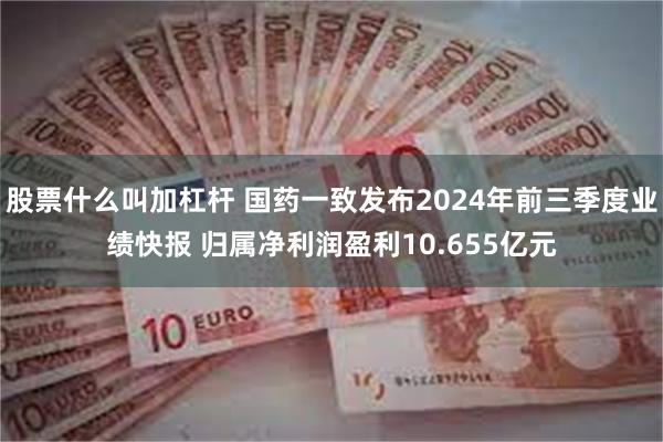 股票什么叫加杠杆 国药一致发布2024年前三季度业绩快报 归属净利润盈利10.655亿元