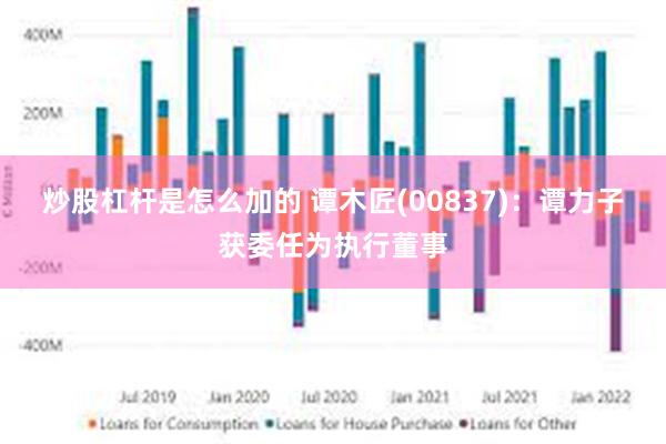 炒股杠杆是怎么加的 谭木匠(00837)：谭力子获委任为执行董事