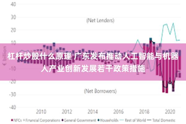 杠杆炒股什么原理 广东发布推动人工智能与机器人产业创新发展若干政策措施