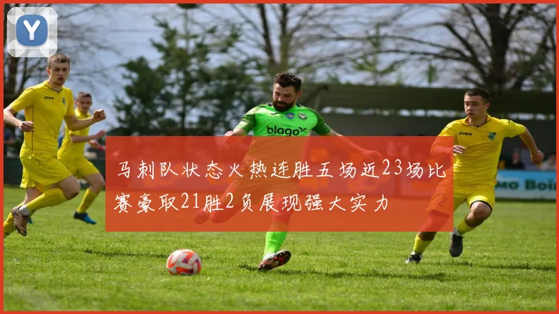 马刺队状态火热连胜五场近23场比赛豪取21胜2负展现强大实力