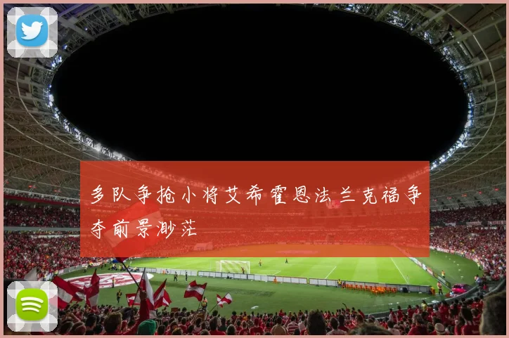 多队争抢小将艾希霍恩法兰克福争夺前景渺茫