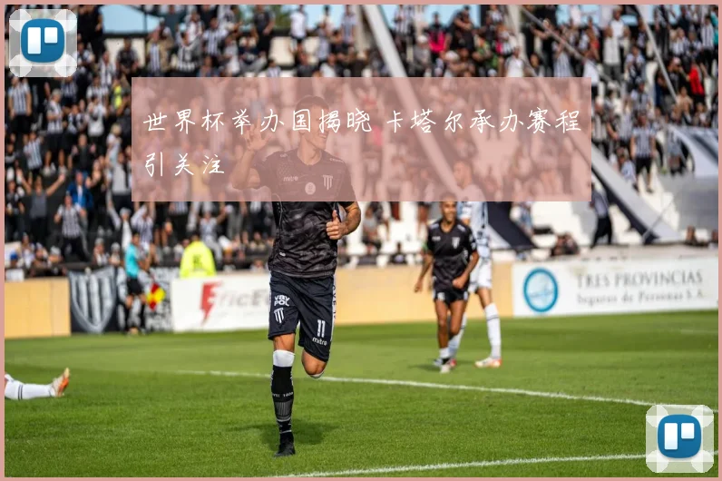 世界杯举办国揭晓 卡塔尔承办赛程引关注