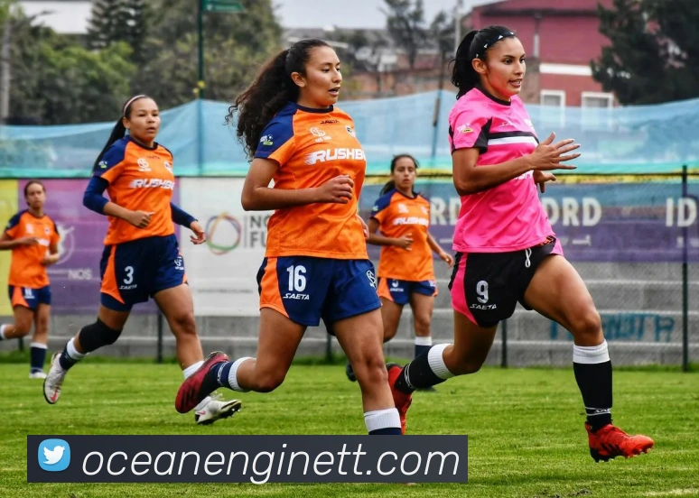 星空体育登录网页全站App